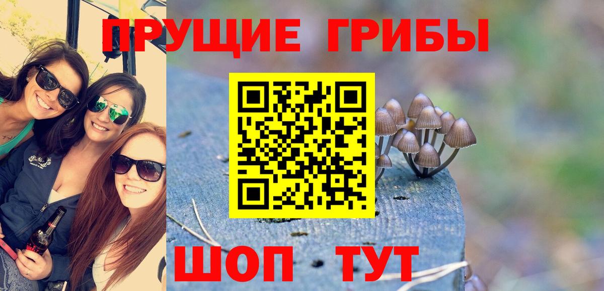 Кисловодск  Галлюциногенные грибы прущие грибы  цена   Вход с VPN 