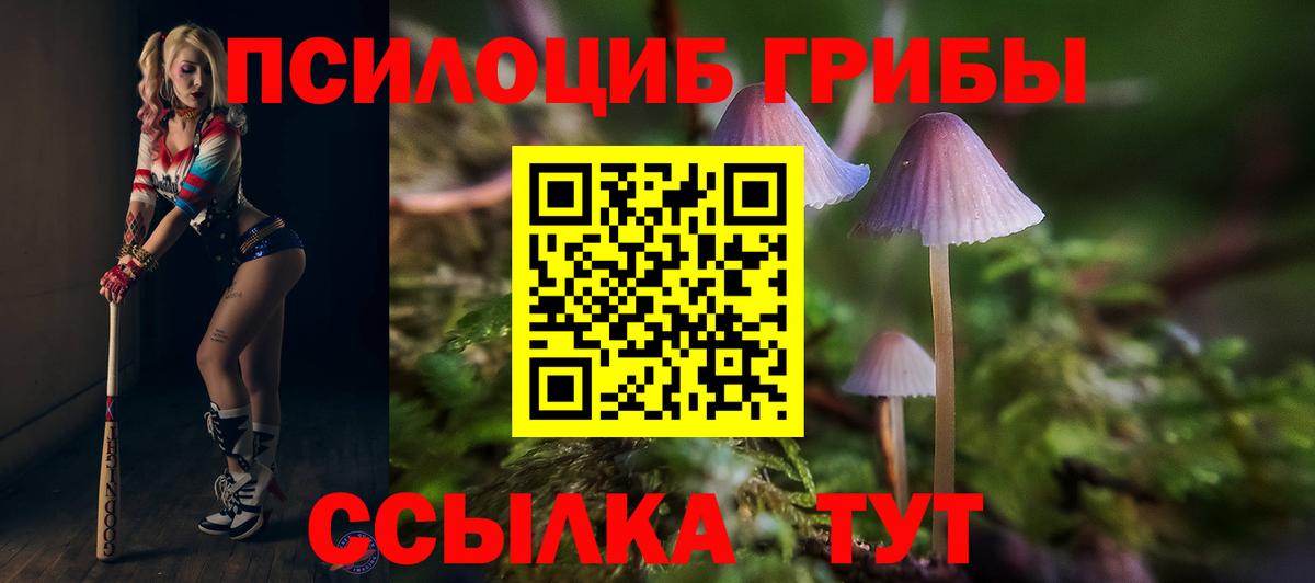 Галлюциногенные грибы Magic Shrooms Кисловодск