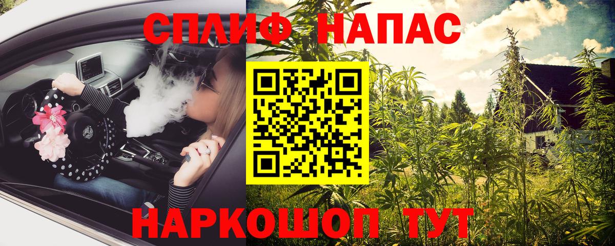 МАРИХУАНА конопля Кисловодск